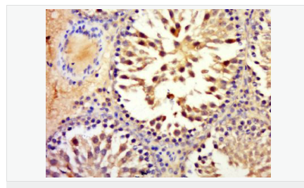 6052becf21061.png image.png